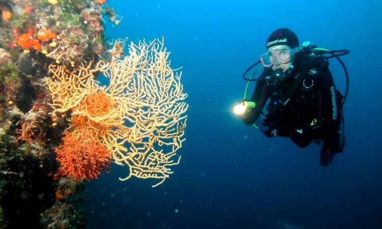 mirko diving centar