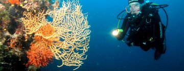 mirko diving centar